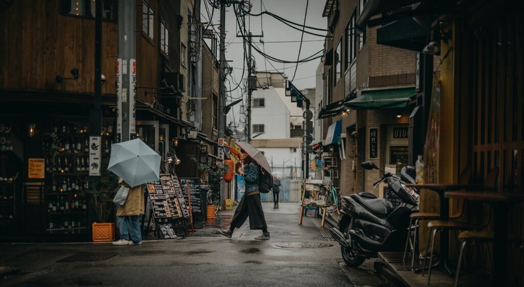 tokyo, woman, market, city, people, japan, trip, japanese, urban, asia, travel, tokyo, tokyo, tokyo, tokyo, tokyo, market, market, japan, japan, japan, japan, japan, japanese