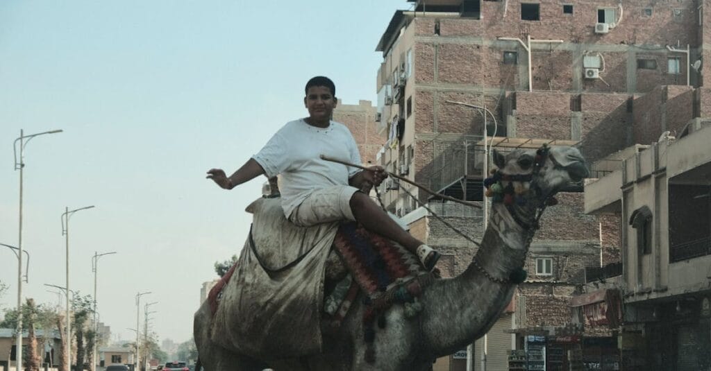 A young man rides a camel through the streets of Cairo, showcasing traditional and modern life coexistence.